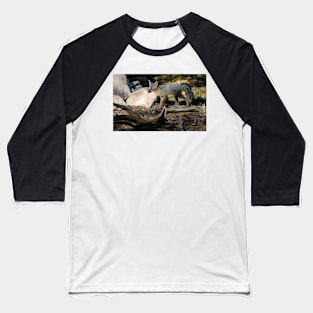 Gray Fox Baseball T-Shirt